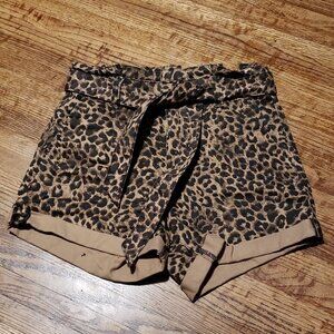 Express High Rise Shorts